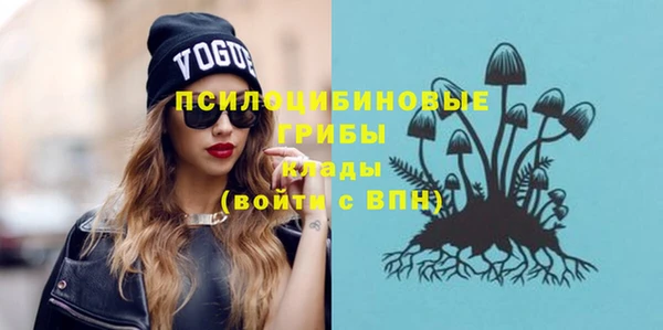 мдпв Вязники