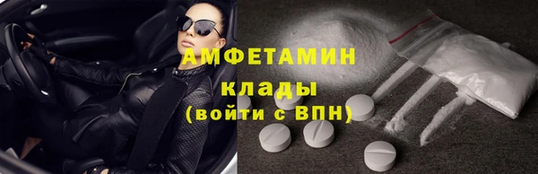 ПСИЛОЦИБИНОВЫЕ ГРИБЫ Горняк