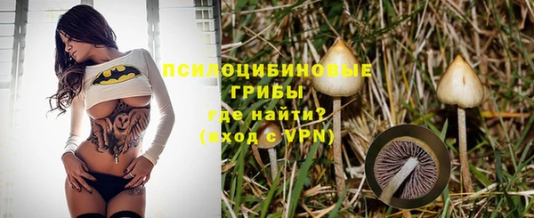 герыч Вязьма