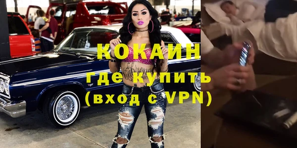 ПСИЛОЦИБИНОВЫЕ ГРИБЫ Горняк
