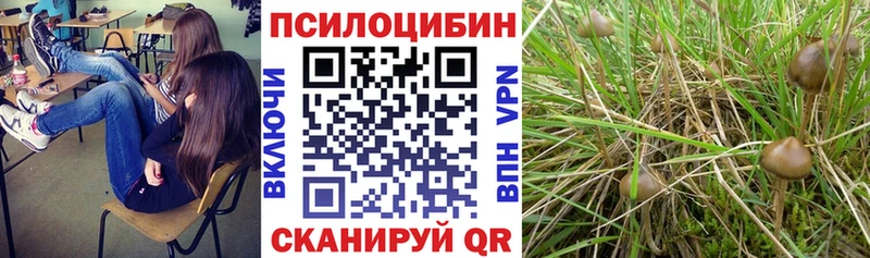Галлюциногенные грибы ЛСД  даркнет сайт  ОМГ ОМГ рабочий сайт  Галич 